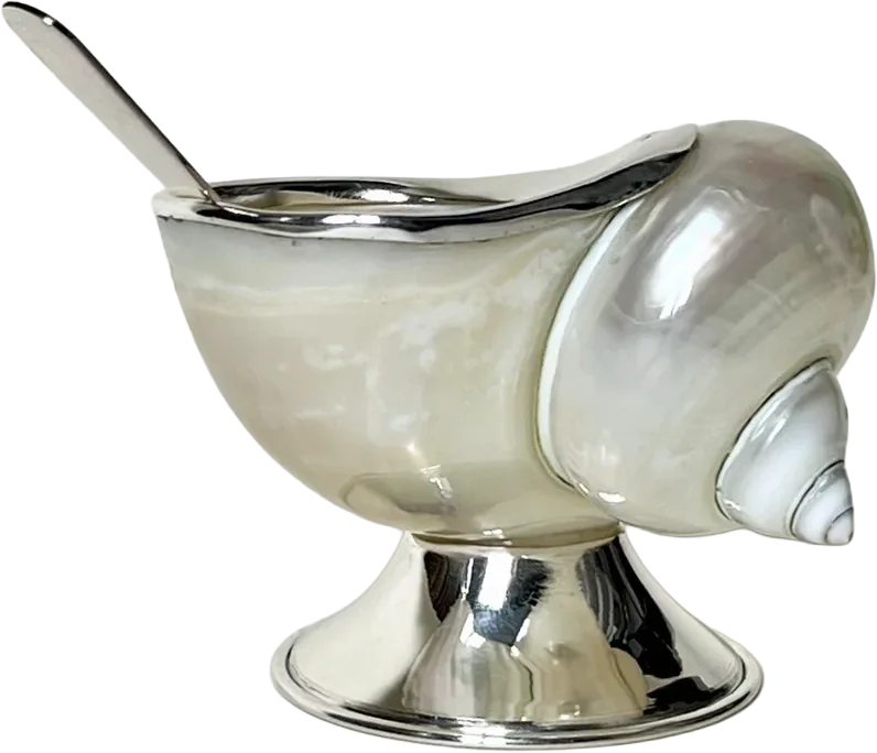 turbo shell sugar bowl, Tavares