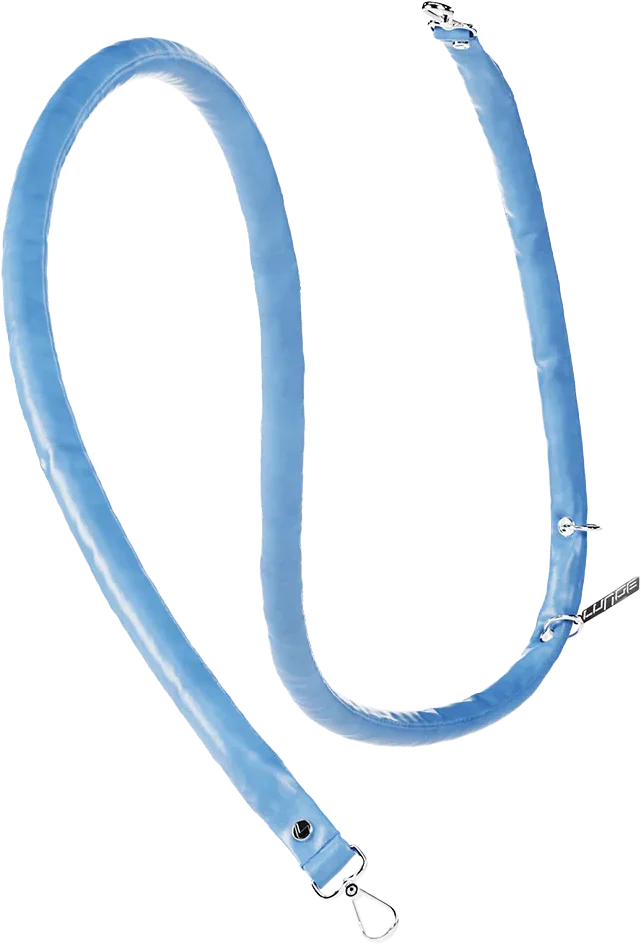 blue leather leash, lunge