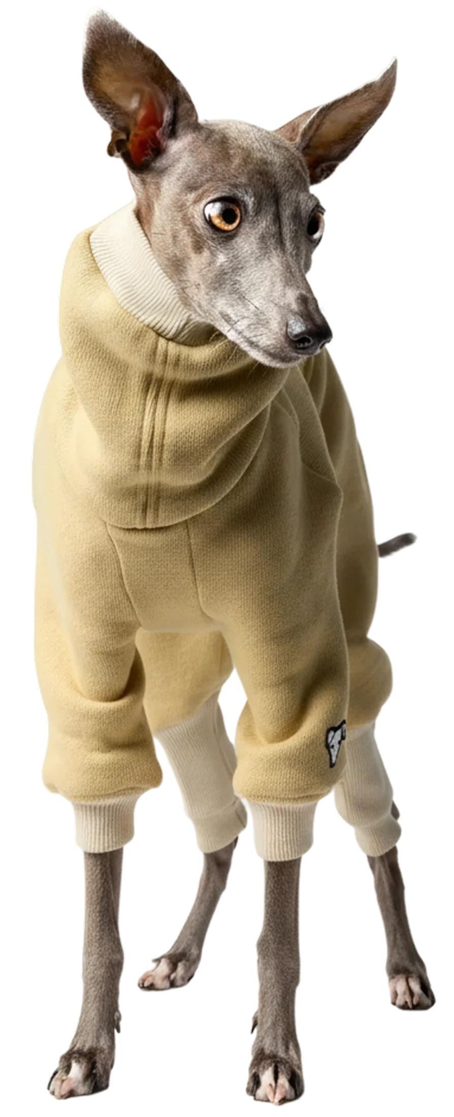 Volume Forma Dog Wear, Vemvem