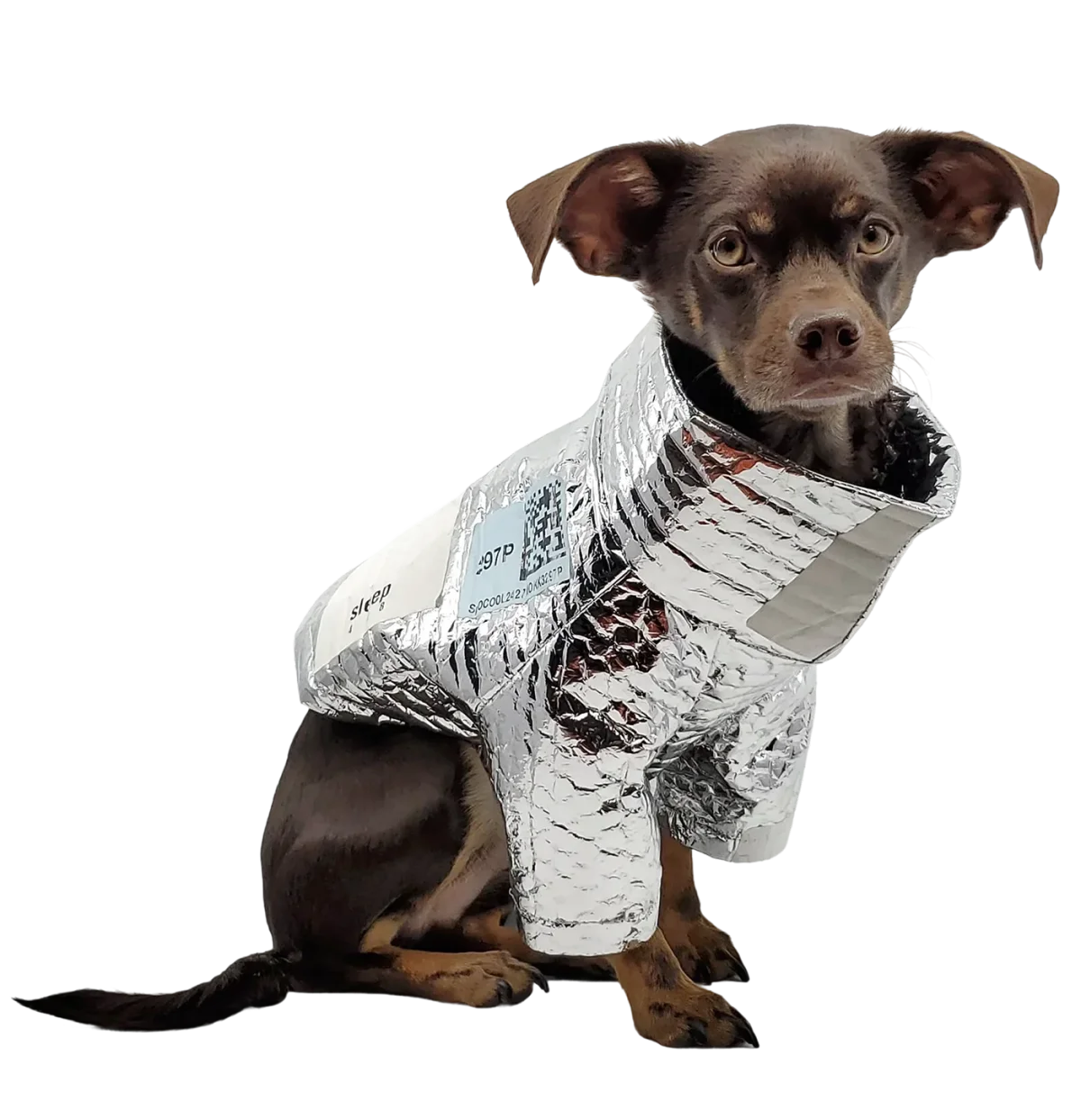 Delivery jacket, between two naps