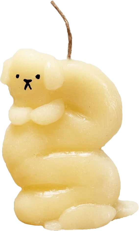slug dog candle, frogdream