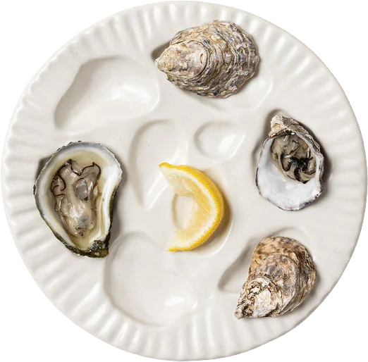 porcelain oyster plate, Sin