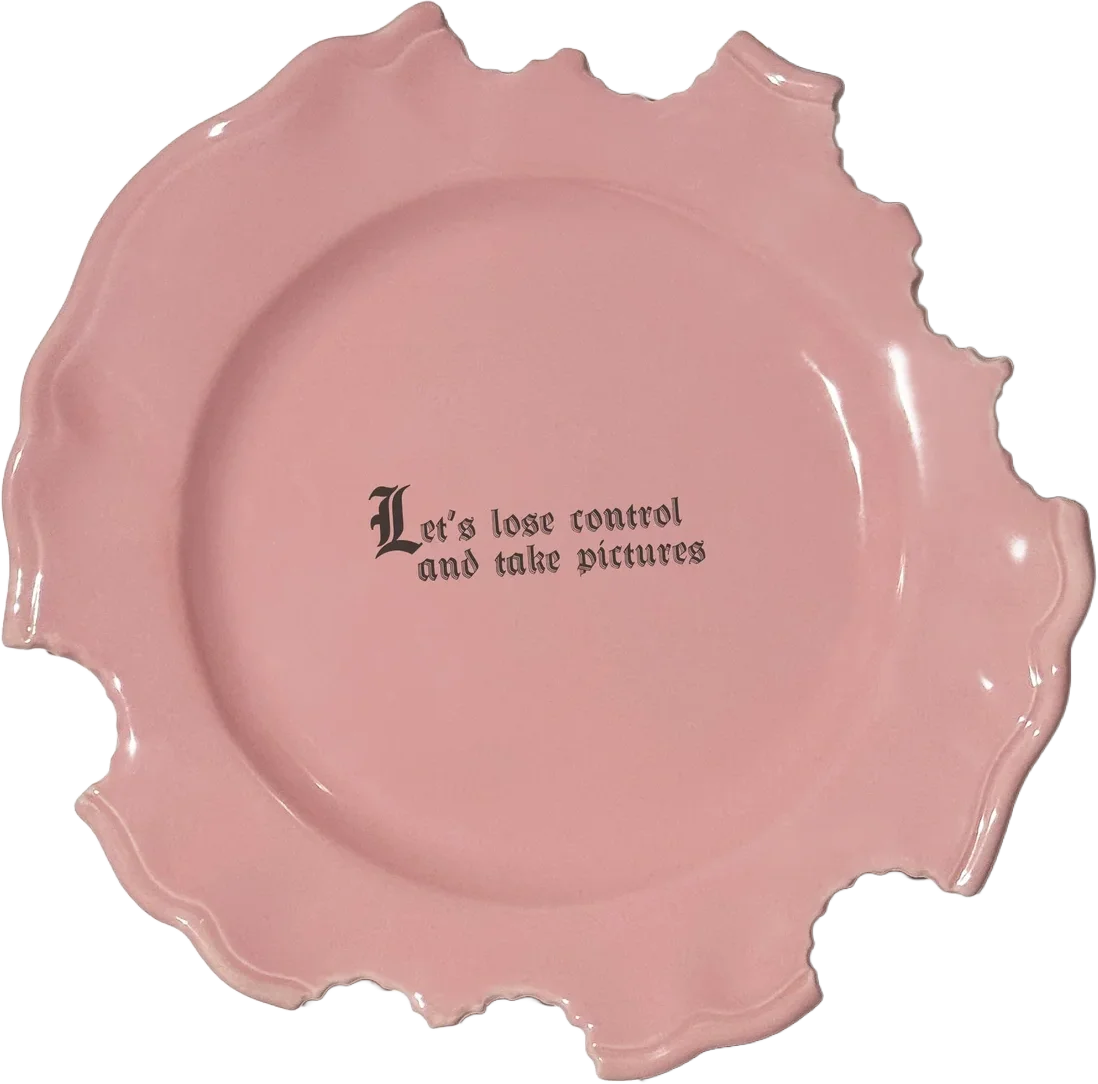 Wrong Dinner Plate 