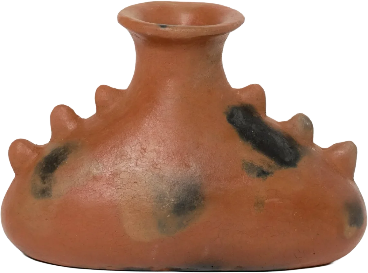 lagarto cococha clay vase, San Bartolomé Cocucho