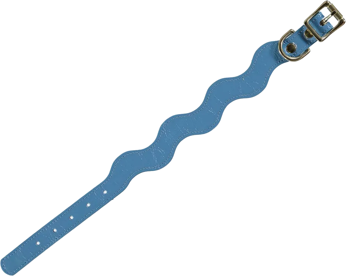 wavy dog collar, curated by