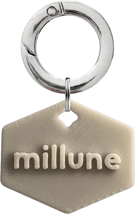 hexagon pet tag, millune