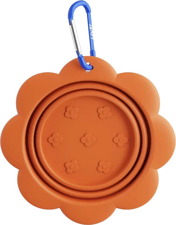 Orange Flower Transport Bowl, Jampy