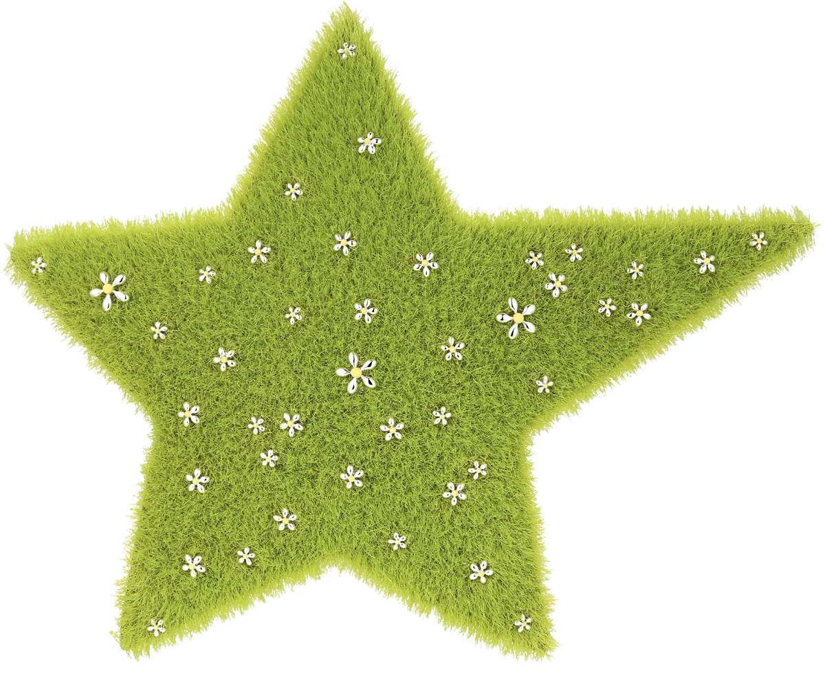 Paradise / Grass Star Hair Clip Large, yvmin