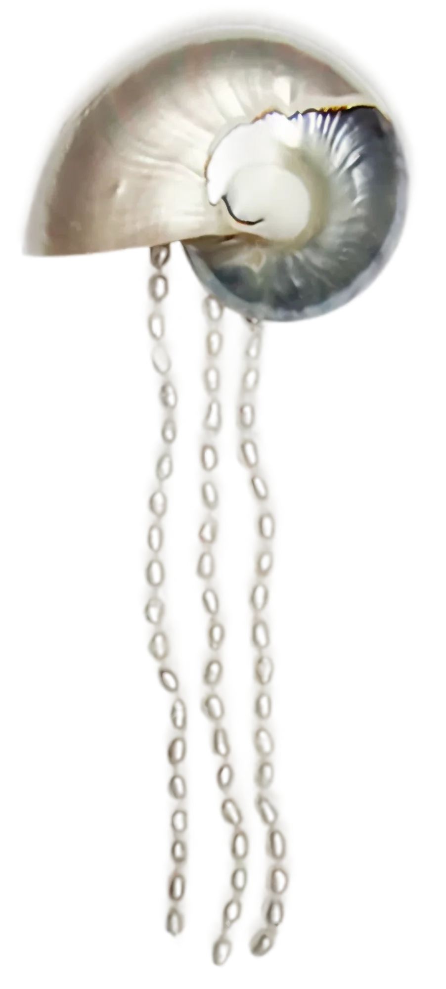 Shell Hair Clip, mosquito