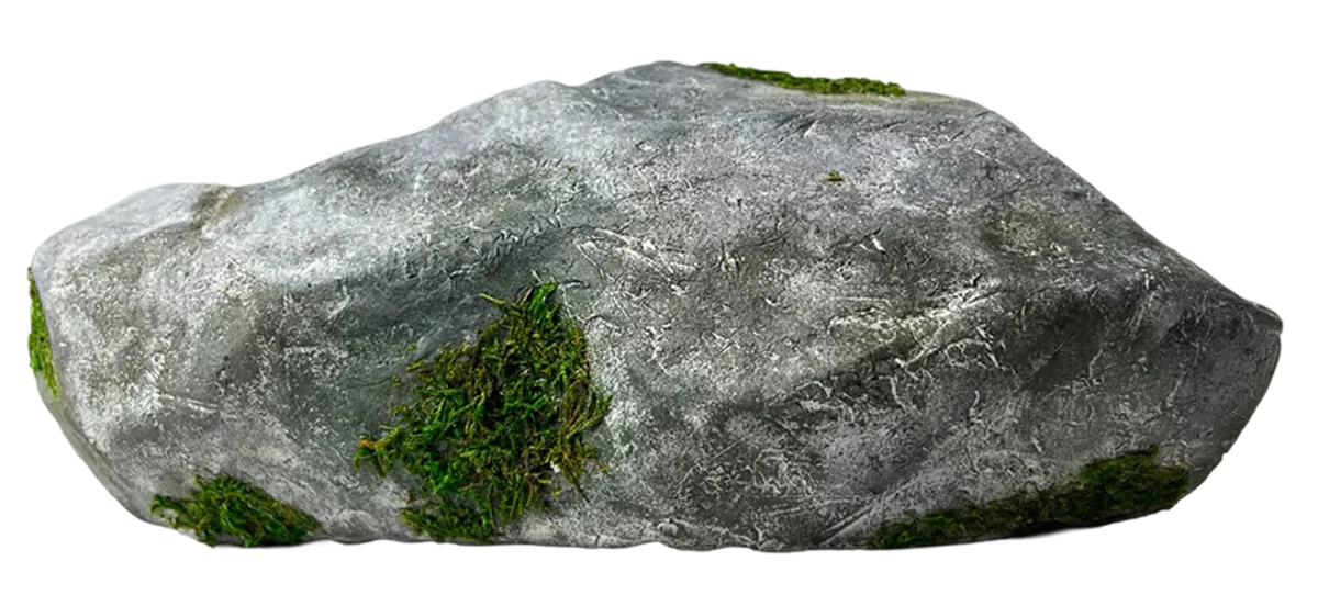 Rock Shoe, Bravest Studios